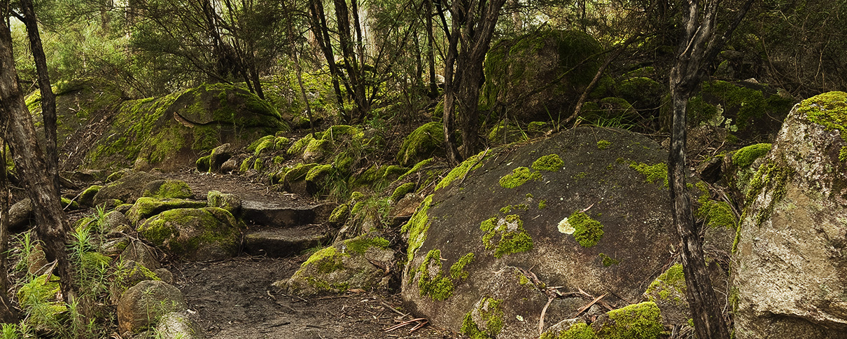 Victorian High Country